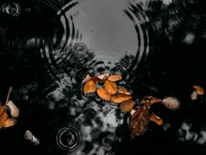 Wasserringe die sich auf der spiegelglatten Wasseroberfläche bilden, auf dem Oberfläche einer tiefen, ruhigen Quelle