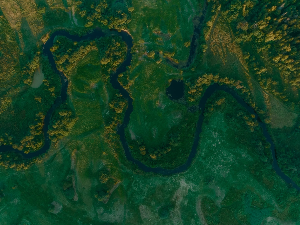 Fluss mäandert und erschafft Leben